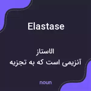 معنی elastase به فارسی معنی elastase به فارسی