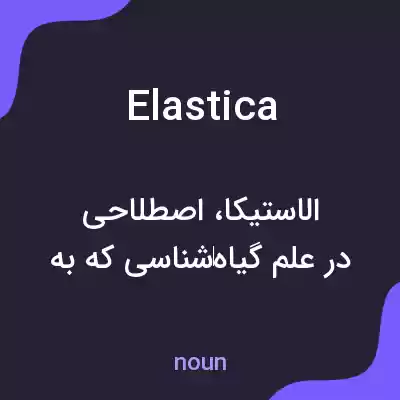 معنی elastica به فارسی معنی elastica به فارسی