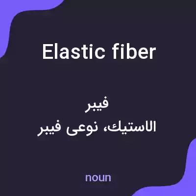 معنی elastic fiber به فارسی