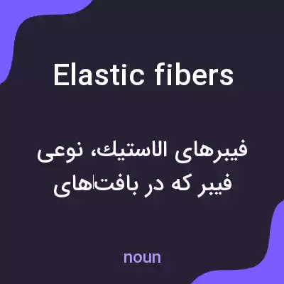 معنی elastic fibers به فارسی معنی elastic fibers به فارسی
