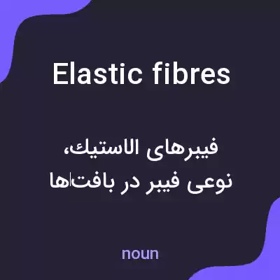 معنی elastic fibres به فارسی معنی elastic fibres به فارسی