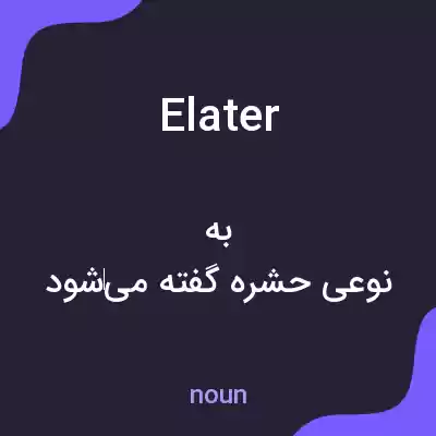 معنی elater به فارسی معنی elater به فارسی