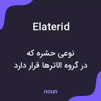 معنی elaterid به فارسی معنی elaterid به فارسی