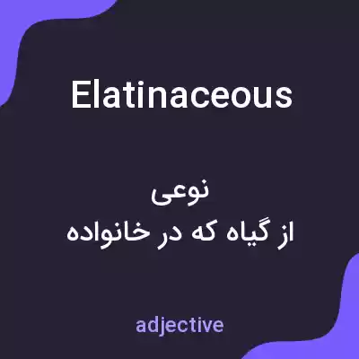 معنی elatinaceous به فارسی معنی elatinaceous به فارسی
