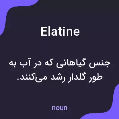 معنی elatine به فارسی معنی elatine به فارسی