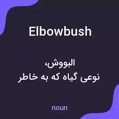 معنی elbowbush به فارسی معنی elbowbush به فارسی