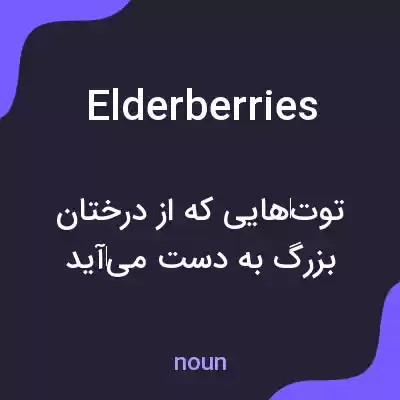 معنی elderberries به فارسی معنی elderberries به فارسی