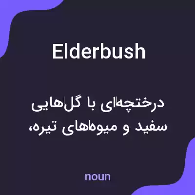 معنی elderbush به فارسی