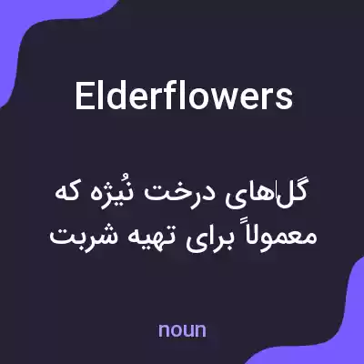 معنی elderflowers به فارسی معنی elderflowers به فارسی