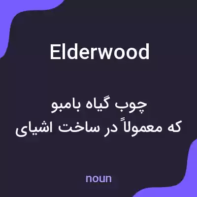 معنی elderwood به فارسی معنی elderwood به فارسی