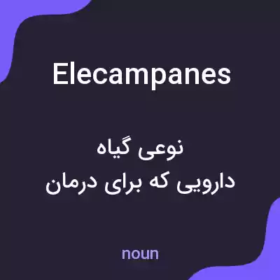 معنی elecampanes به فارسی معنی elecampanes به فارسی