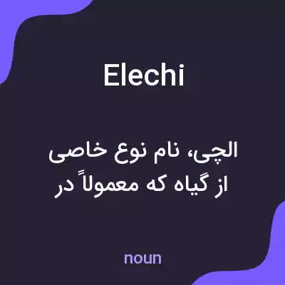 معنی elechi به فارسی معنی elechi به فارسی