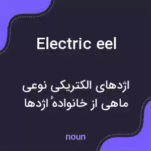 معنی electric eel به فارسی معنی electric eel به فارسی