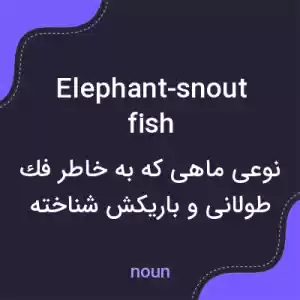 معنی elephant-snout fish به فارسی