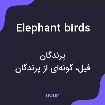 معنی elephant birds به فارسی معنی elephant birds به فارسی