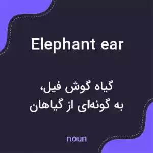 معنی elephant ear به فارسی معنی elephant ear به فارسی