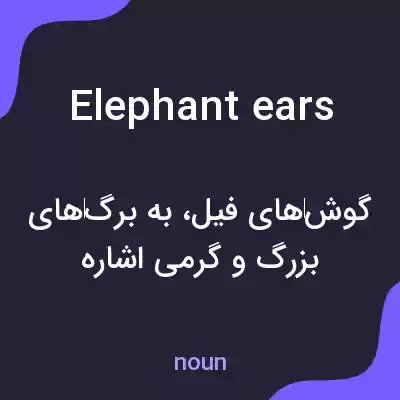 معنی elephant ears به فارسی معنی elephant ears به فارسی