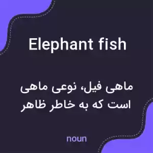 معنی elephant fish به فارسی معنی elephant fish به فارسی