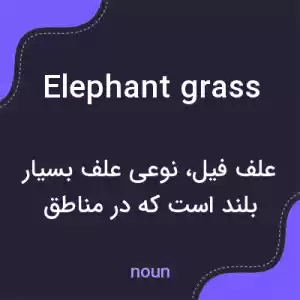 معنی elephant grass به فارسی معنی elephant grass به فارسی