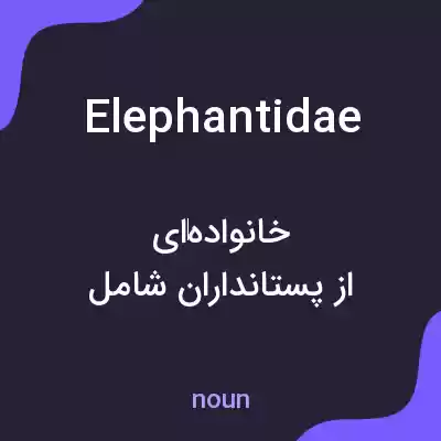 معنی elephantidae به فارسی معنی elephantidae به فارسی