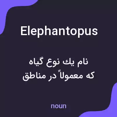 معنی elephantopus به فارسی معنی elephantopus به فارسی