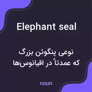 معنی elephant seal به فارسی معنی elephant seal به فارسی