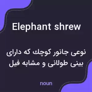 معنی elephant shrew به فارسی معنی elephant shrew به فارسی