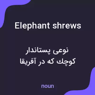 معنی elephant shrews به فارسی معنی elephant shrews به فارسی
