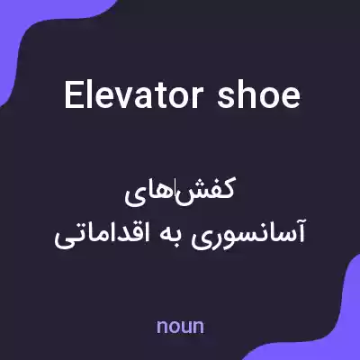 معنی elevator shoe به فارسی