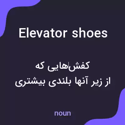 معنی elevator shoes به فارسی معنی elevator shoes به فارسی
