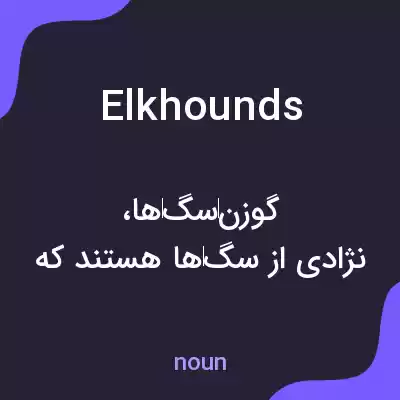 معنی elkhounds به فارسی