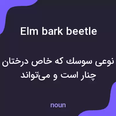 معنی elm bark beetle به فارسی معنی elm bark beetle به فارسی