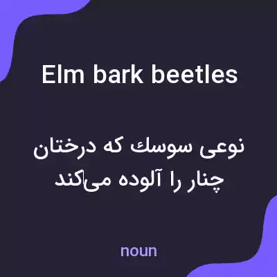 معنی elm bark beetles به فارسی معنی elm bark beetles به فارسی