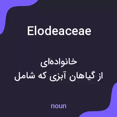 معنی elodeaceae به فارسی معنی elodeaceae به فارسی
