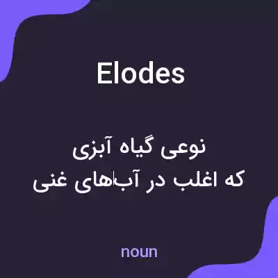 معنی elodes به فارسی معنی elodes به فارسی