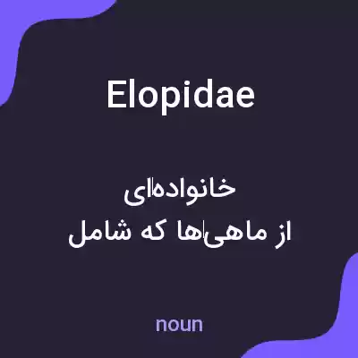 معنی elopidae به فارسی معنی elopidae به فارسی