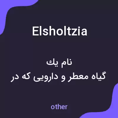 معنی elsholtzia به فارسی