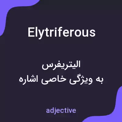 معنی elytriferous به فارسی معنی elytriferous به فارسی