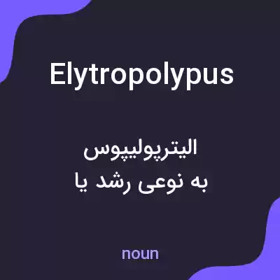 معنی elytropolypus به فارسی معنی elytropolypus به فارسی