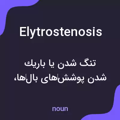 معنی elytrostenosis به فارسی معنی elytrostenosis به فارسی
