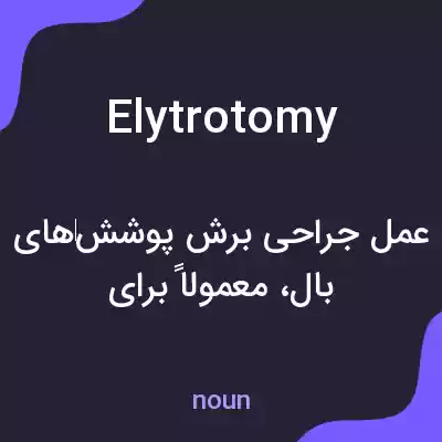 معنی elytrotomy به فارسی معنی elytrotomy به فارسی