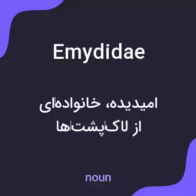 معنی emydidae به فارسی معنی emydidae به فارسی