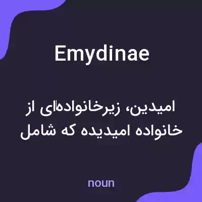 معنی emydinae به فارسی معنی emydinae به فارسی