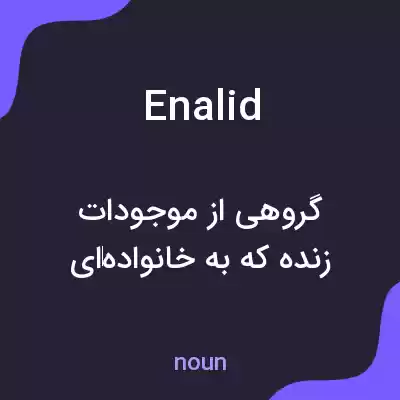 معنی enalid به فارسی معنی enalid به فارسی