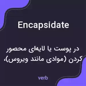 معنی encapsidate به فارسی معنی encapsidate به فارسی