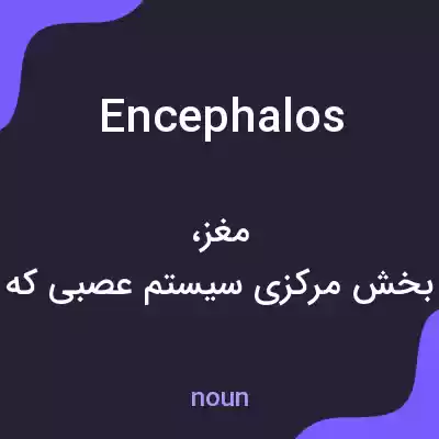 معنی encephalos به فارسی معنی encephalos به فارسی