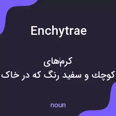معنی enchytrae به فارسی معنی enchytrae به فارسی