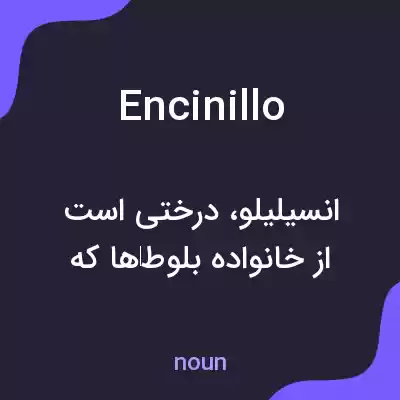 معنی encinillo به فارسی معنی encinillo به فارسی