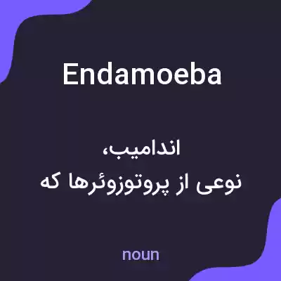 معنی endamoeba به فارسی معنی endamoeba به فارسی
