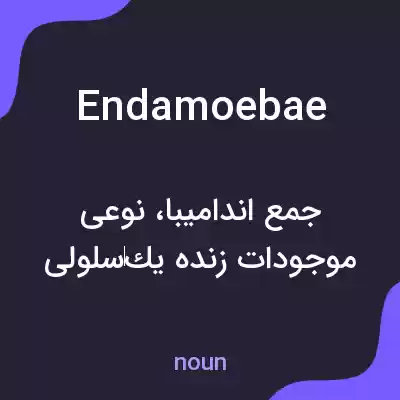 معنی endamoebae به فارسی معنی endamoebae به فارسی